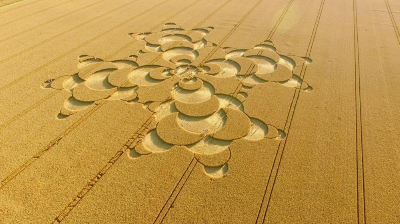 Create meme: patterns on the margins, crop circles chilbolton, drawings on the margins of UFOs