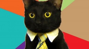 Create meme: business cat, github, cat meme