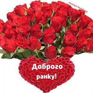 Create meme: a bouquet of red roses, flowers, a beautiful bouquet of roses