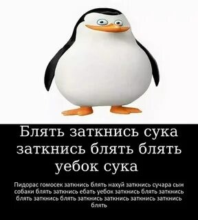 Create meme: penguin meme, Penguin shut up, penguin 