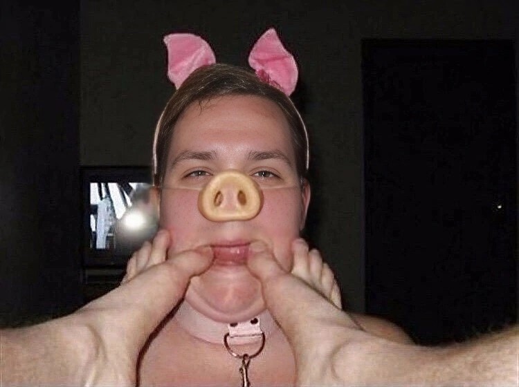 Create meme: pig , human mumps, girl pig