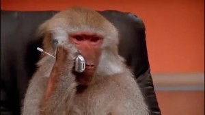 Создать мем: pastor, обезьяна звонит по телефону мем, обезьянка с телефоном