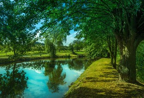 Create meme: landscape river and trees, nature landscape, vertical Wallpaper for mobile nature river