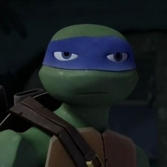 Create meme: Leonardo teenage Mutant Ninja Turtles 2012 footage, teenage mutant ninja turtles, leonardo tmnt 2012