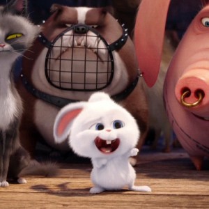 Create meme: rabbit snowball, the secret life of Pets snowball, the secret life of Pets