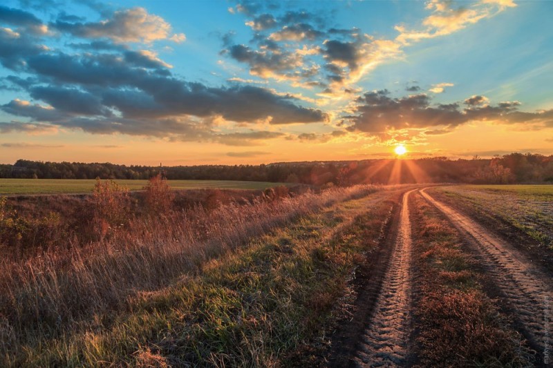 Create meme: landscape field, sunset landscape, sunset in the field