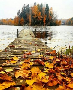 Create meme: beautiful autumn, autumn