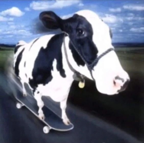 Create meme: dairy cow, cow , live cow
