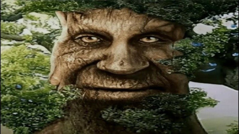 Create meme: wise mystical tree, the tree is large, a tree with a face