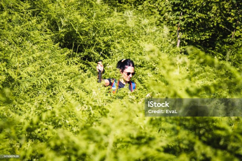 Create meme: jogging in the woods, tall grass, orienteering