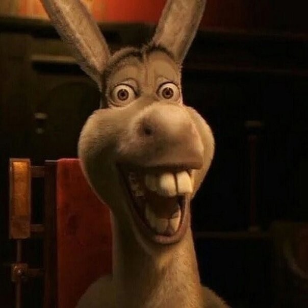 Create meme: donkey and shrek, donkey from Shrek, the jackass of shrek