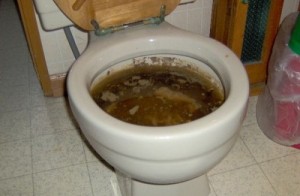 Create meme: the clog, the toilet, toilet