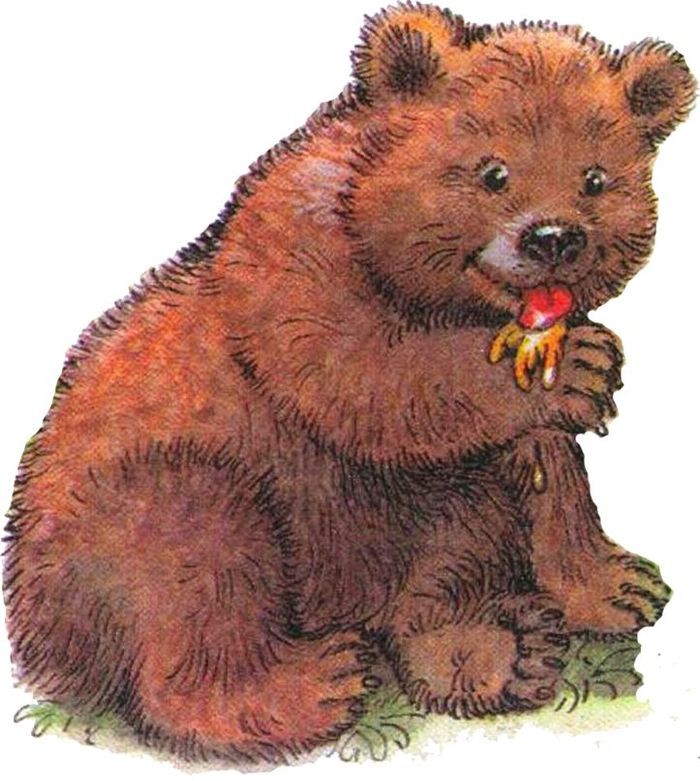 Create meme: bear for children, bear bear, The brown bear story