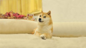 Create meme: doge, wow such doge, Shiba inu doggie