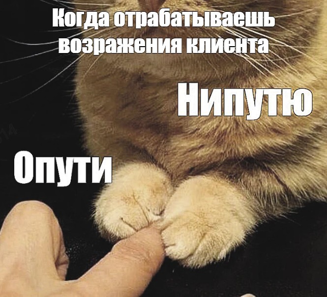 Create meme: ofways, Deputy , put down the cat, memes with cats 