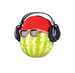 Create meme: illustration, activity, DJ watermelon