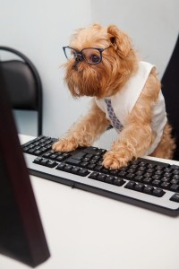 Создать мем: офисный работник, dog, собака в очках