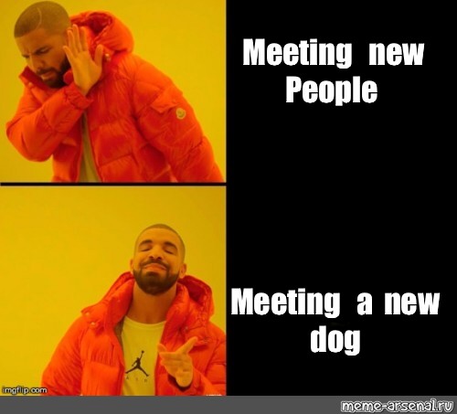 Meeting meme. Important meeting meme.