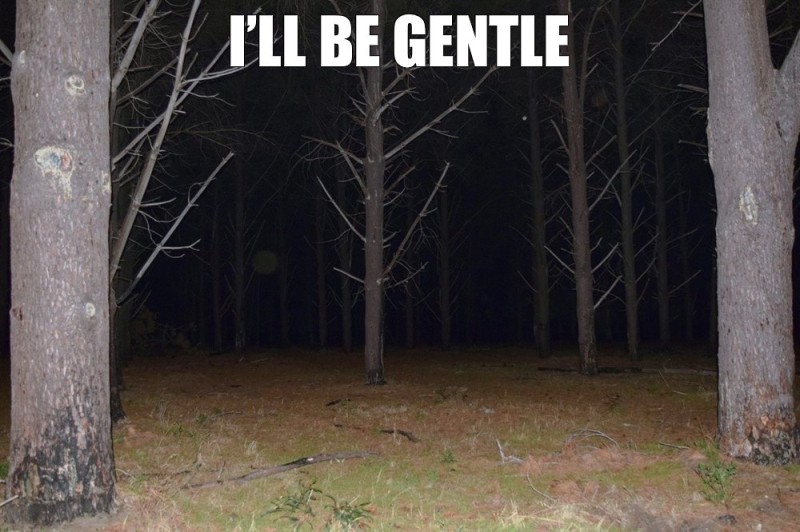 Create meme: the forest dark, The forest is scary at night, darkness