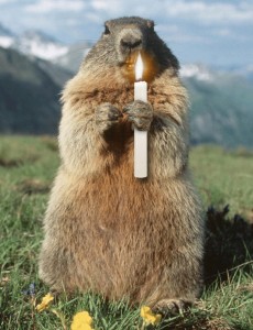 Create meme: Groundhog Phil, Groundhog day, marmot