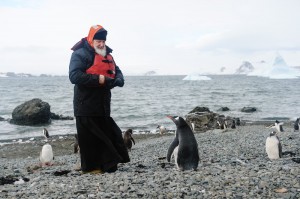 Create meme: penguin, Antarctica, the Patriarch in Antarctica with the penguins