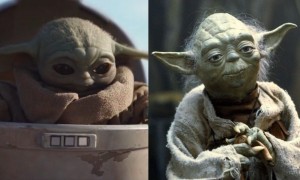Create meme: Yoda, iodine