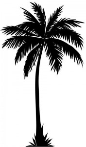 Create meme: black silhouette palm trees, palm tree vector, palm tree clipart black