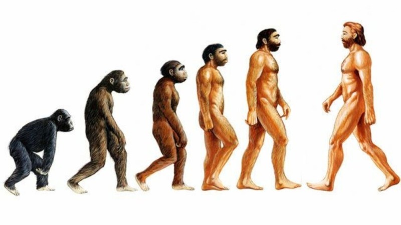 Create meme: the stage of human evolution, evolution , stages of human evolution, homo sapiens