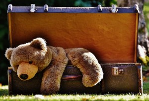 Create meme: suitcase, bear in suitcase toy, bear with a suitcase