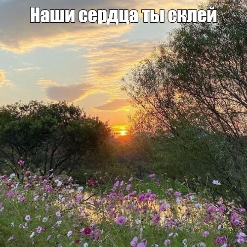 Create meme: the dawn is beautiful, dawn in summer, summer sunset in the field