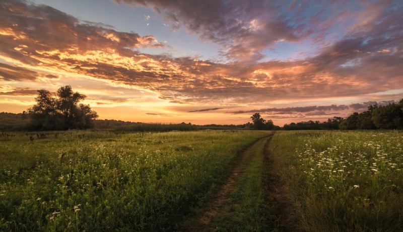 Create meme: a field in the village of sunset, summer sunset in the field, meadow sunset