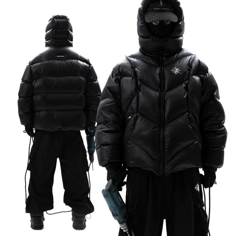 Create meme: jacket, down jacket TNF 700 2021, down jacket npogp hpa