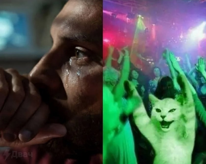 Create meme: The cat at the disco, kitty at the disco, at the disco