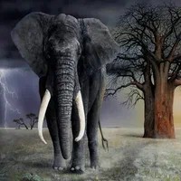 Создать мем: большие слоны, африканский элефант слон, красивые слоны