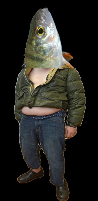 Create meme: fish , the fish is big, jacket with fish