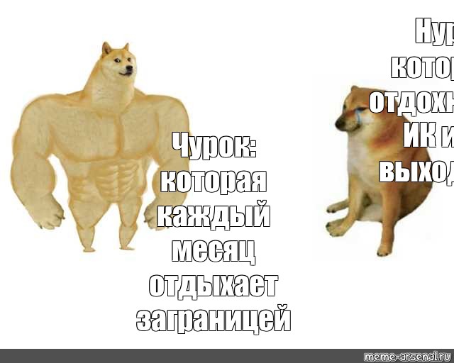 Качок доге мемы