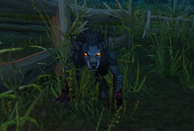 Create meme: wild worgen wow, wow druid classic bear, bfa worgens