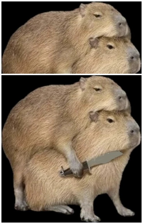 Create meme: nutria and capybara, rodent capybara, beaver and capybara