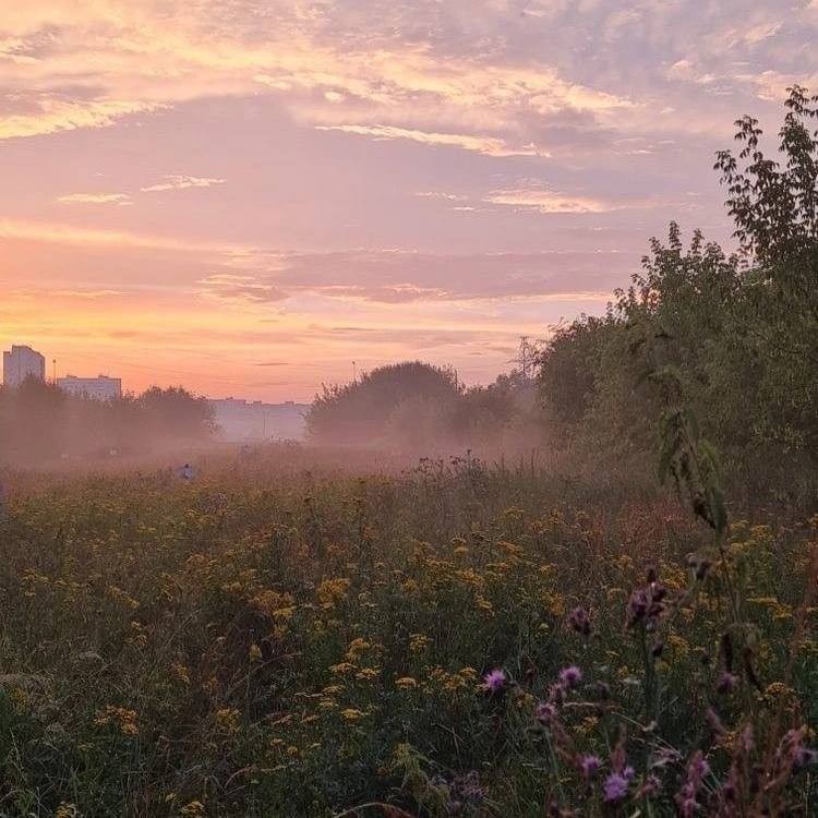 Create meme: landscapes dawn, morning fog , summer morning in the village
