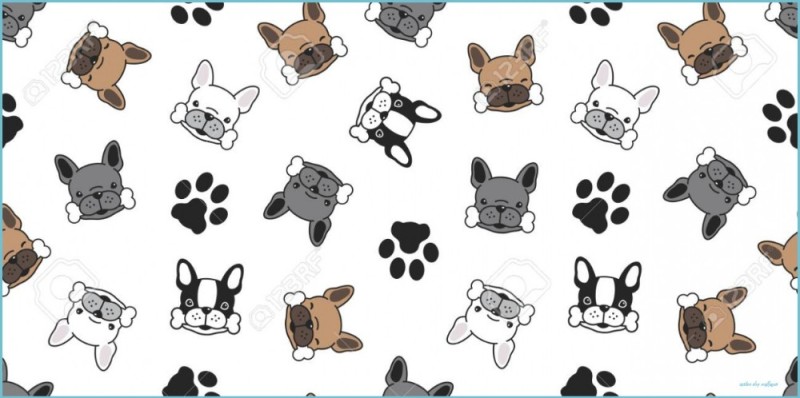 Create meme: cat dog background vector, cute dogs , french bulldog vector