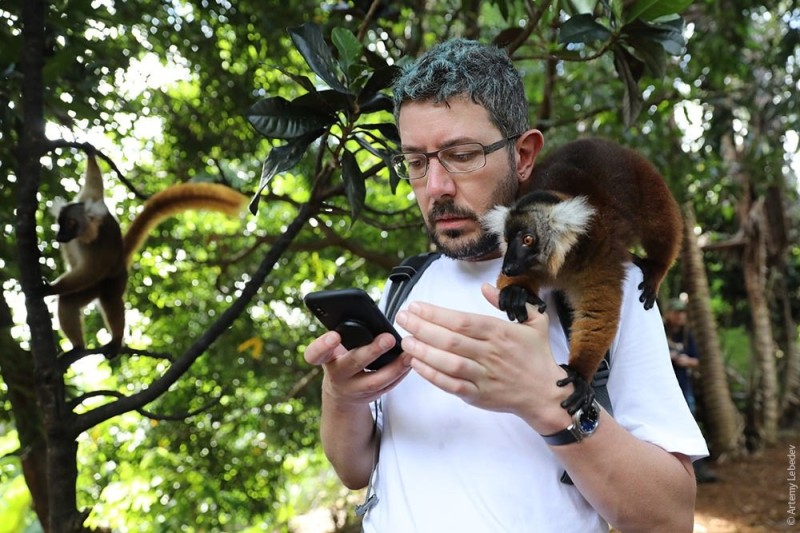 Create meme: ruffed lemur , lemur Madagascar, lemur 