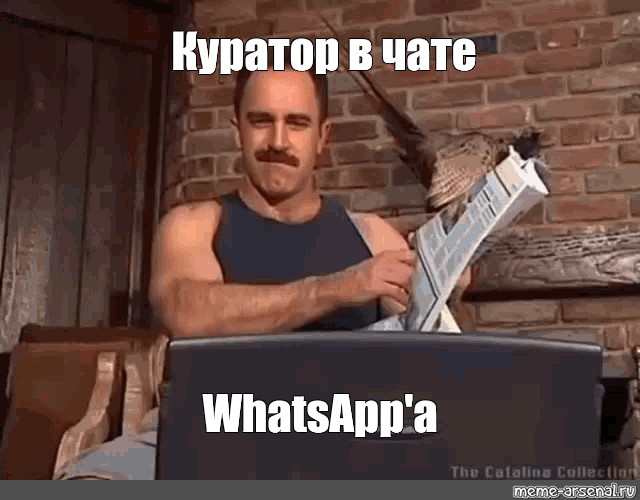 Мем печатает на клавиатуре