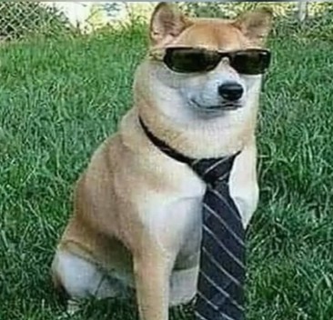 Create meme: The dog with glasses meme, A dog with glasses, A dog in sunglasses meme