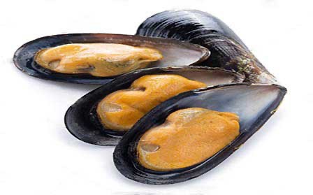 Create meme: mussels, mussel shell, kiwi mussels