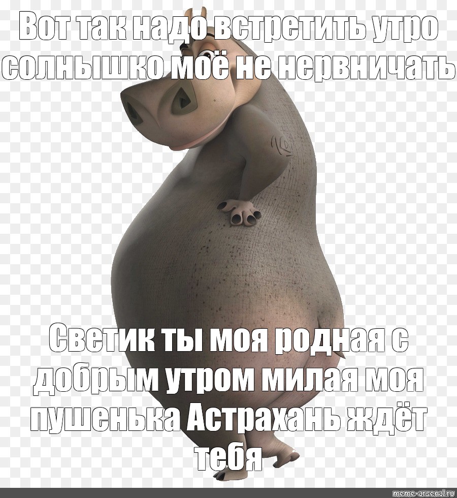 Found on Bing from madagascar.dreamworks.com  Мадагаскар, Мемы, Бегемот