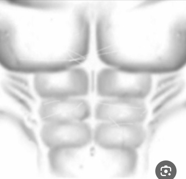 Create meme: shirt for roblox muscles, muscles for roblox, roblox press