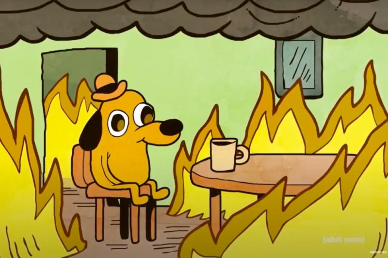 Create meme: a dog in a fire meme, meme dog on fire, meme dog in a burning house