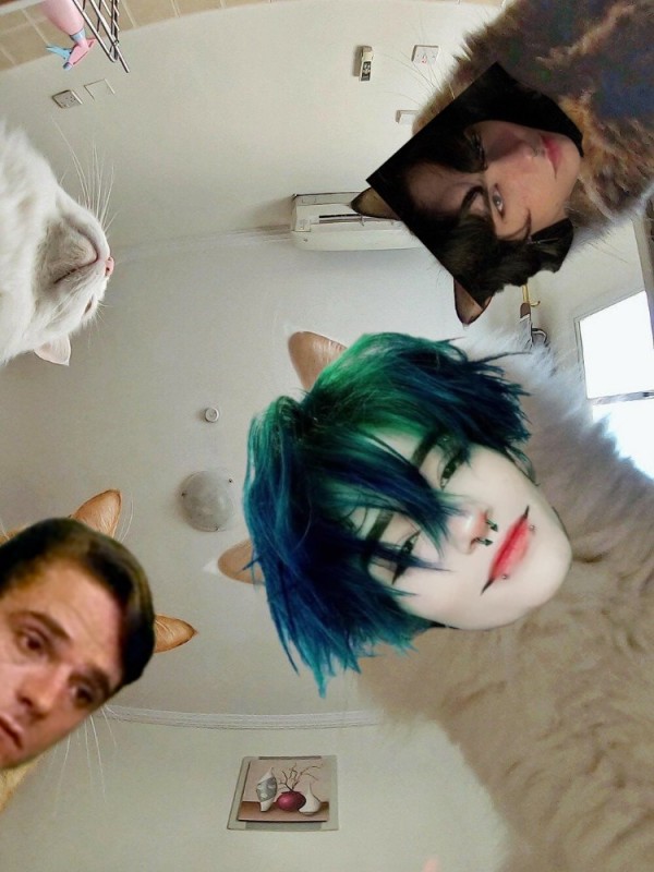 Create meme: Natasha's cats, Natasha we all dropped cats, natasha get up cats