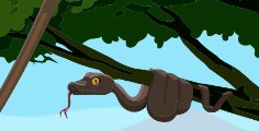 Create meme: the jungle book, the snake Kaa from Mowgli
