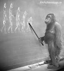 Создать мем: картины люди обезьяны, обезьяна учитель, эволюция из обезьяны в человека